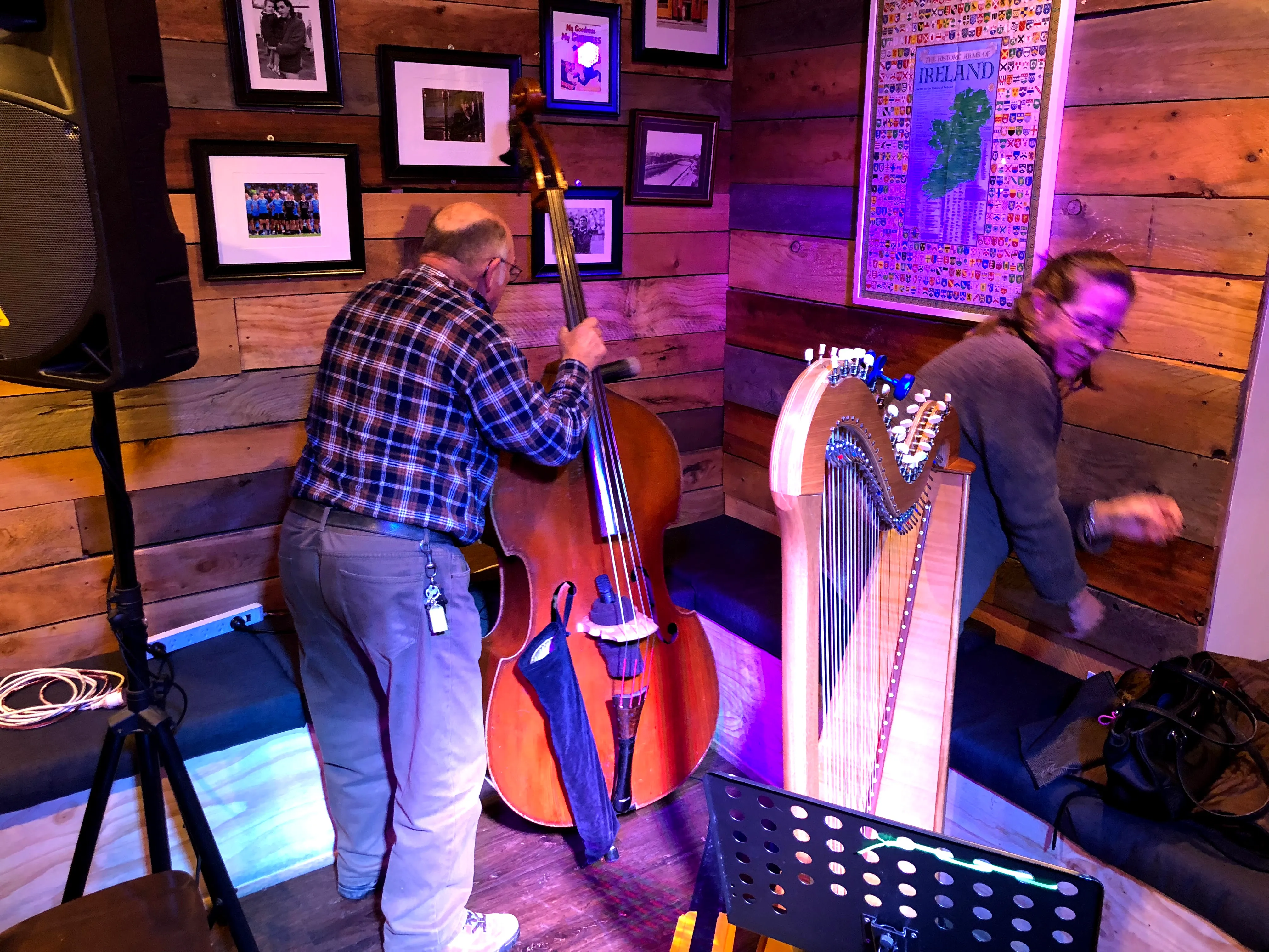 Musicians playing a live trad session — double bass and harp — in a wood-panelled corner